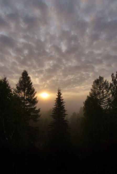 Лето - Ольга Алексеевна Царева