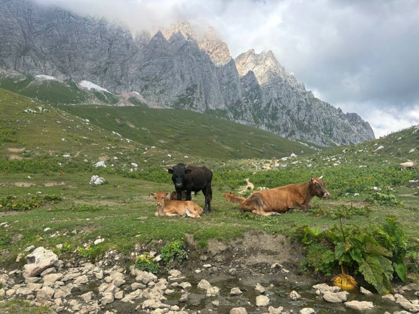 Сквозь облака к берегам -  