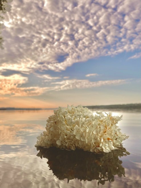 Мгновение гармонии -  