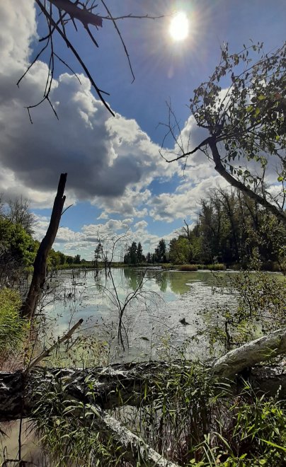 1 день на Серном озере -   (1/8)