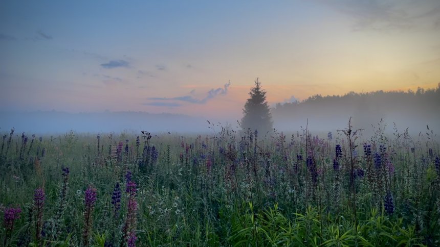 Вечерний сказ - Светлана