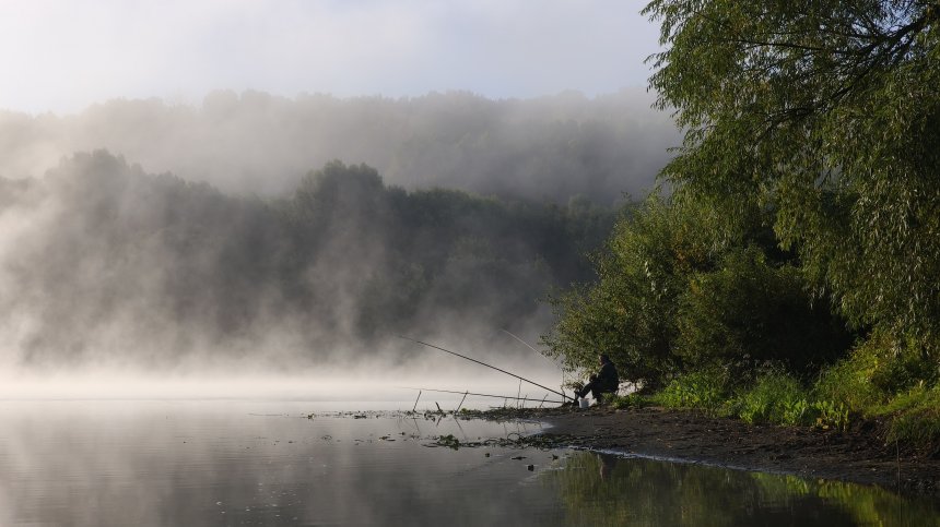 В ожидании - Елена Винк