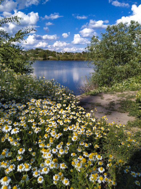 Гармония - Наталья