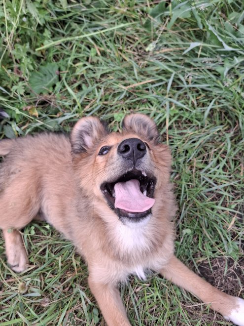 Беззаботные дни - Марина Крутякова