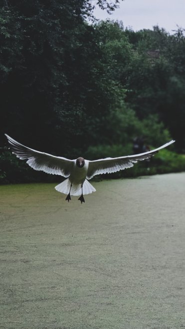 Полёт - Екатерина