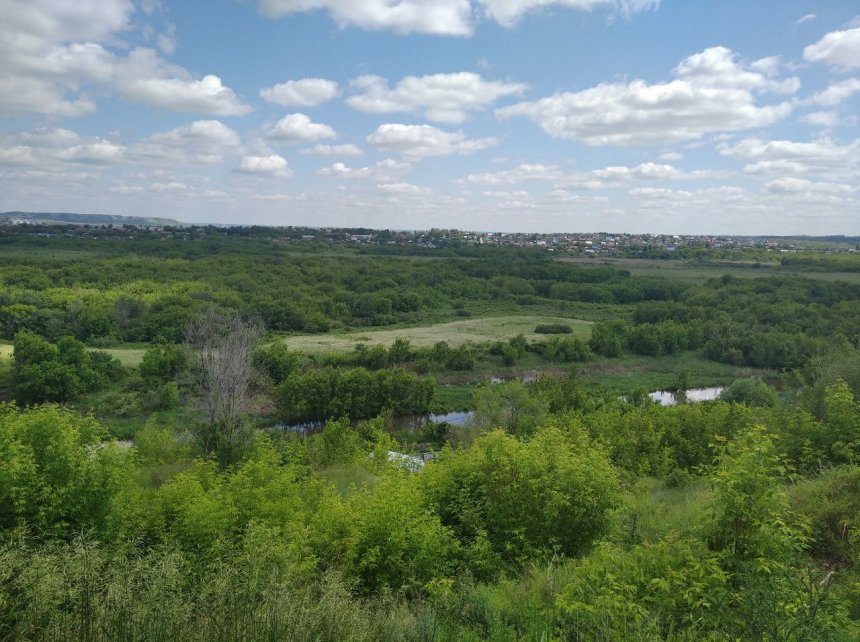 Красота сельской природы -  