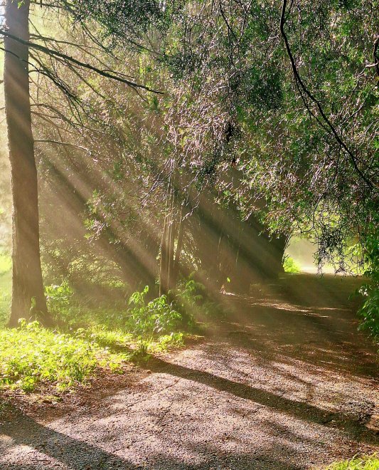 После дождя - Арина