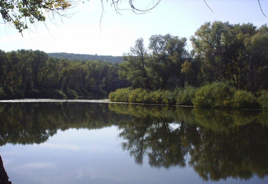 Хопер - Надежда Трунова