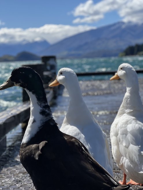 Смотри какая красота - Сергей