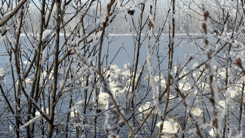 Зимний Алтай -   (1/4)