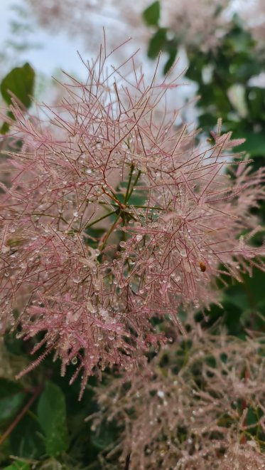 Мир внутри облака - Регина