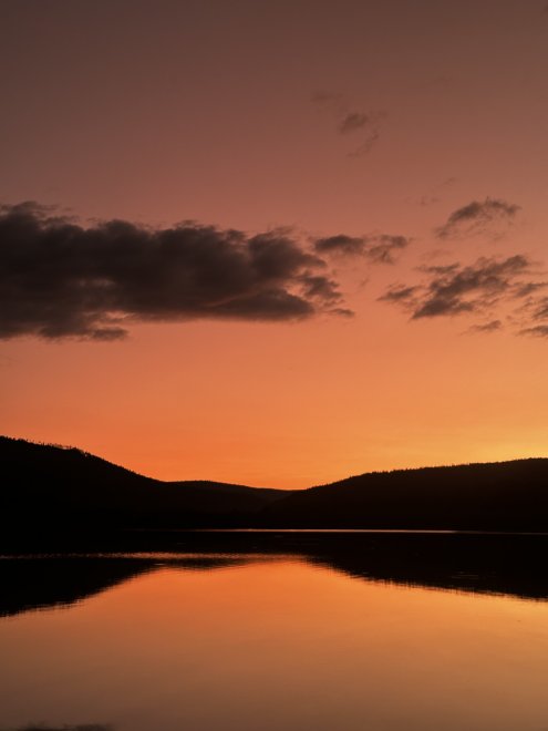 Тишина - Анастасия Зиновьева