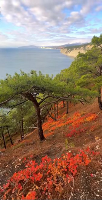 Геленджик Голубая бухта -  