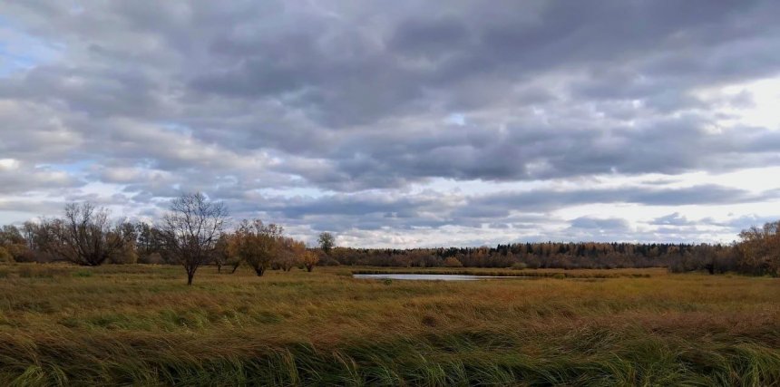 Ветер перемен - Елизавета