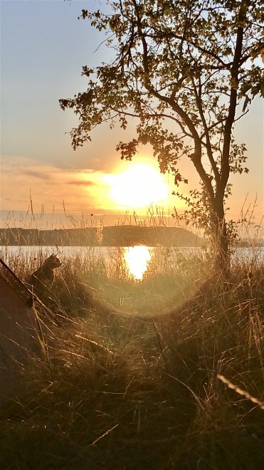 С рассветом вместе - Анна Белякова