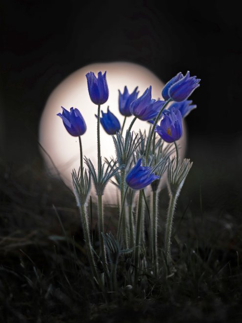 Вечерние посиделки - Александр