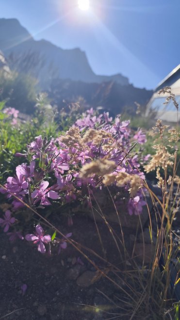 Поездка на Эльбрус -   (1/8)