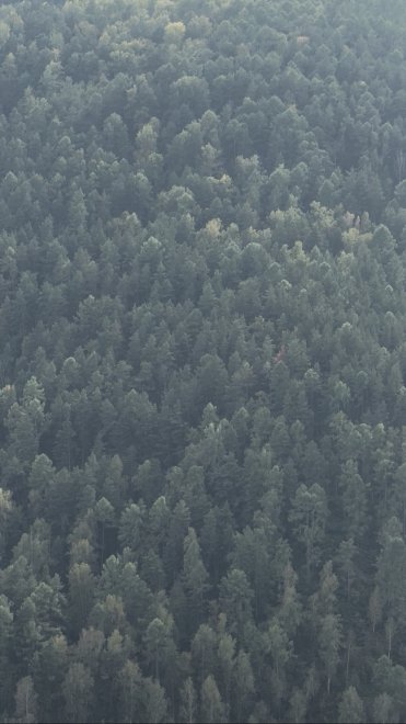 Вид с вершины Торгашинского хребта -  