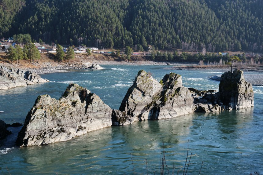 Зубы дракона -  