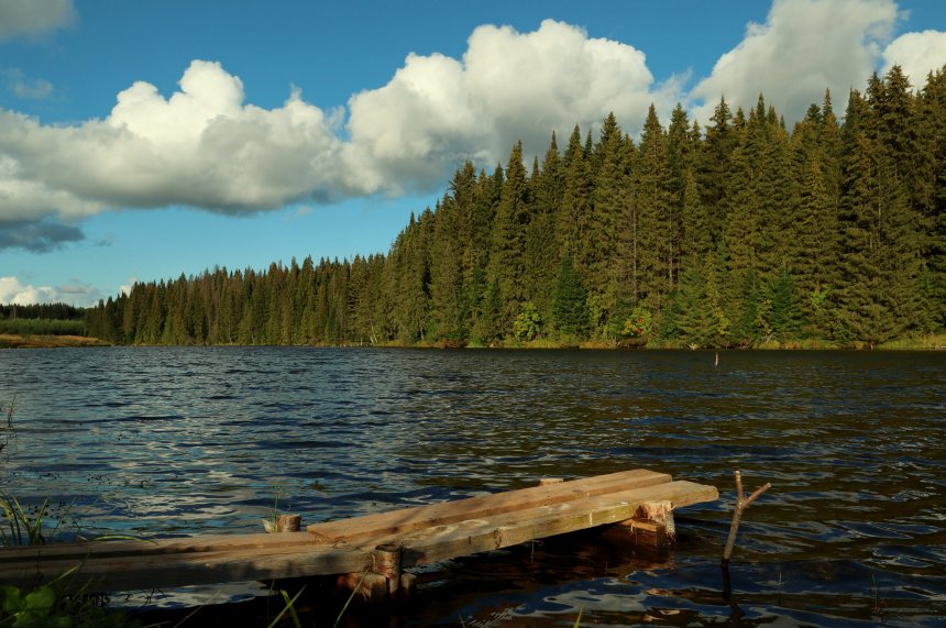 Последние теплые дни уходящего лета (The last warm days of the passing summer). - Максим