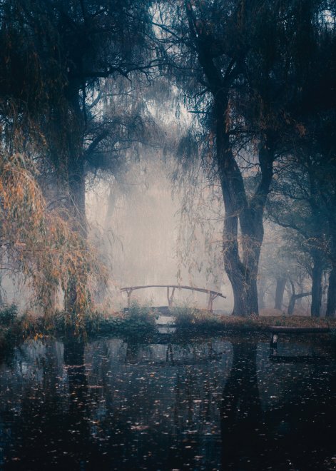 Мост через форелевый пруд -  