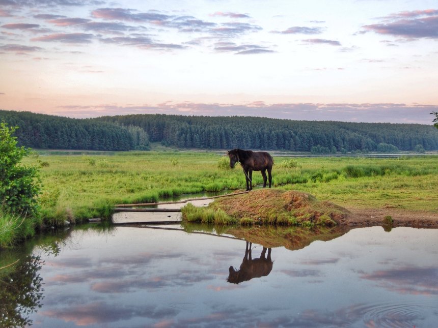 НА ЗАКАТЕ ДНЯ - Борискова Вера
