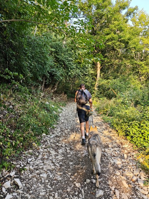 Прогулка с верным другом -   (1/8)