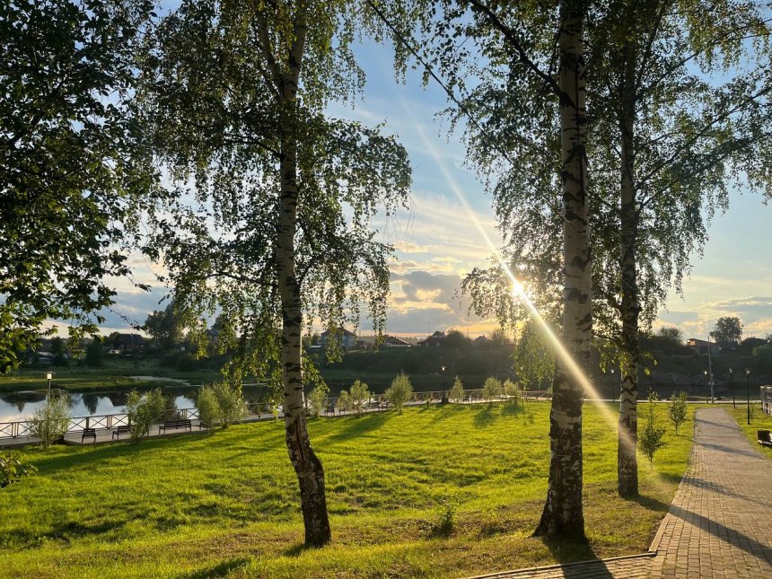 «Шёпот света в листве» - Ольга
