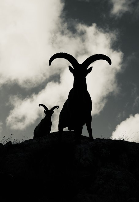 Высокогорная тень -  