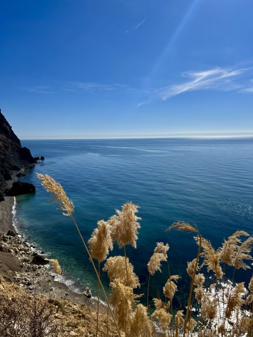 Безмятежность - Карина