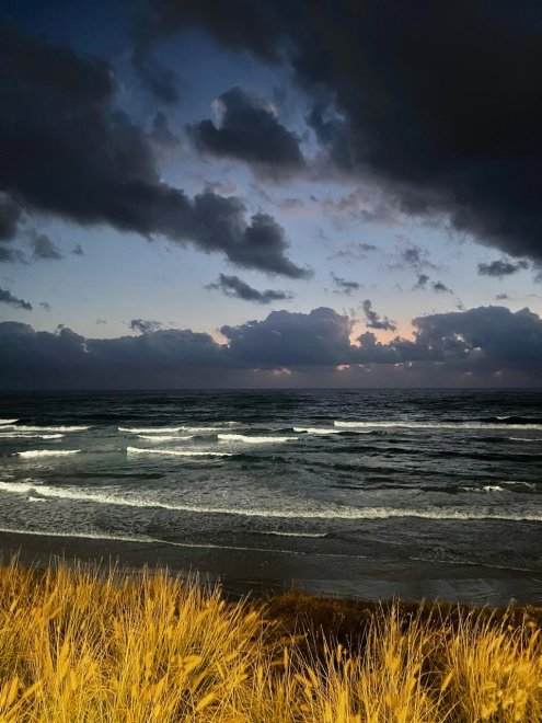 Трава на Средиземноморье - Юлия