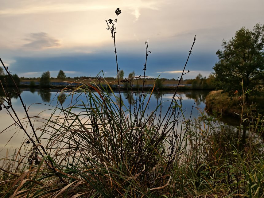 Октябрь - Кира Береснева
