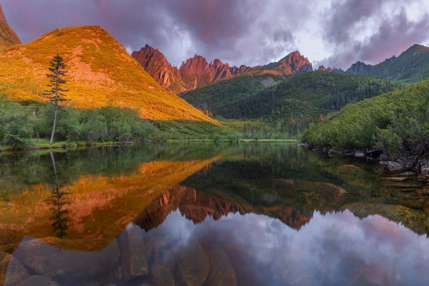 The sound of nature -  