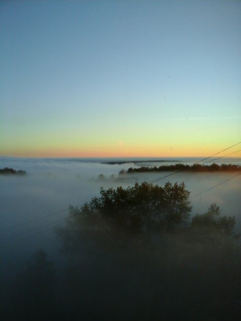 Молочный рассвет. - Домоховская Татьяна Владимировна