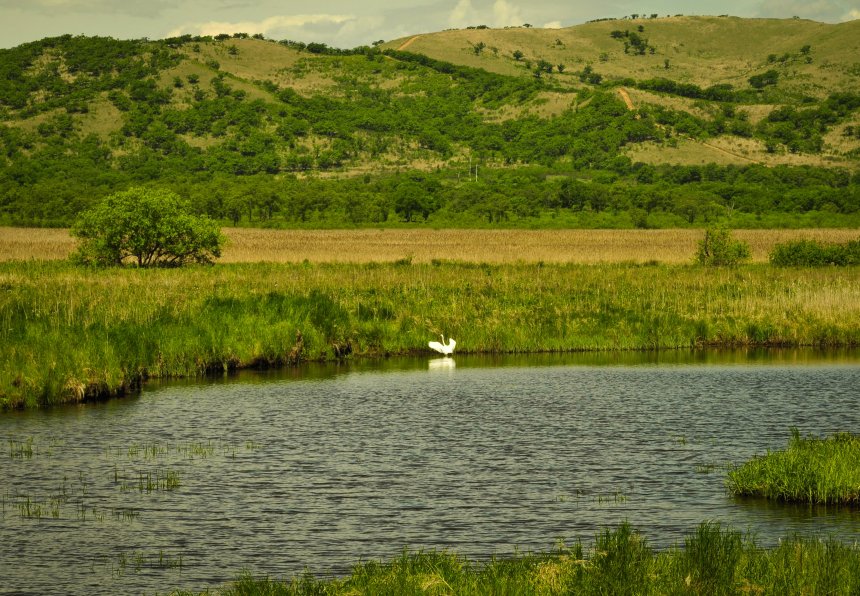 Расправить крылья - Елена Огай