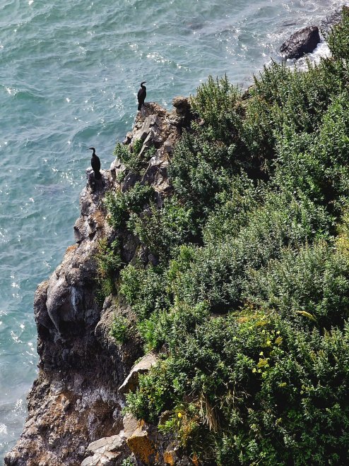 Поссорились -  