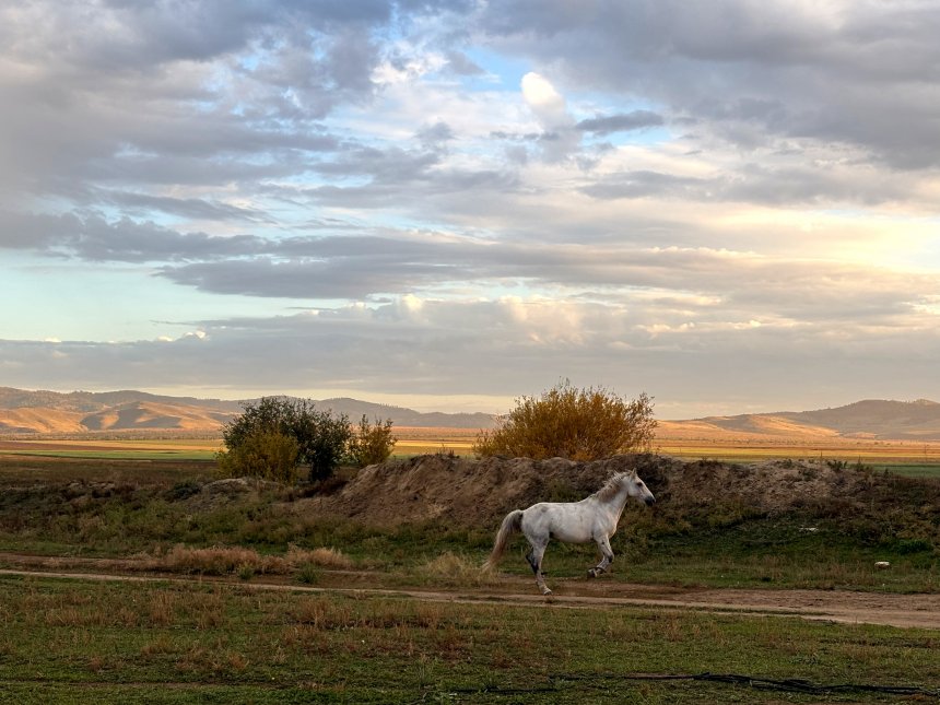 бегущая по ветру - Инна Мавровская