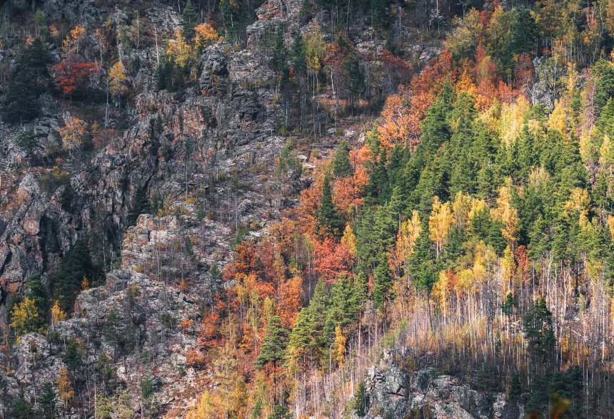 Краски осени -  