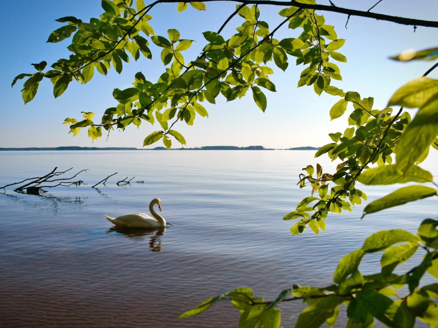 Пробуждение -  