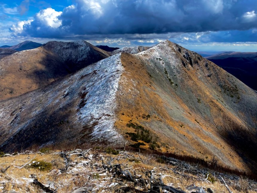 На светлой стороне - Татьяна
