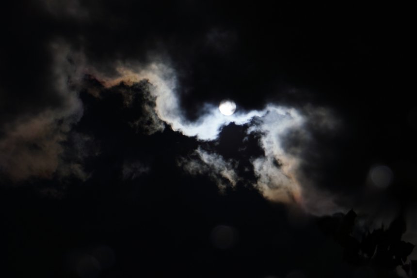 Тайна - Софья