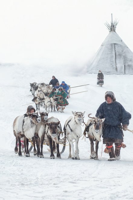 Reindeer Herders' Day - Анна Орманжи