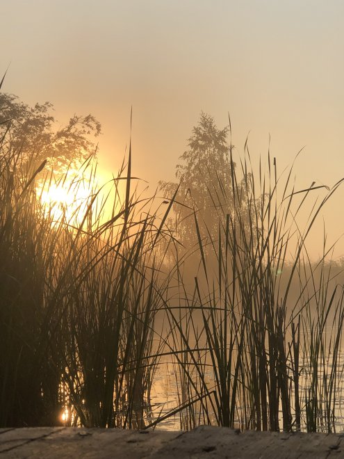 Рассветная магия Аркаима / Dawn magic of Arkaim -  