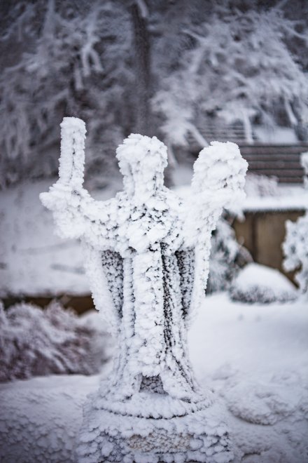 снежный ангел - Андрей