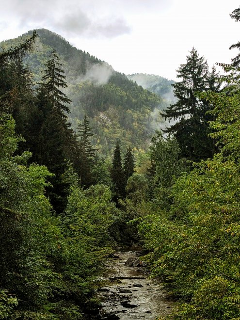 Место силы -  