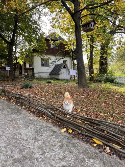 Осень в пристанище художника -   (1/3)