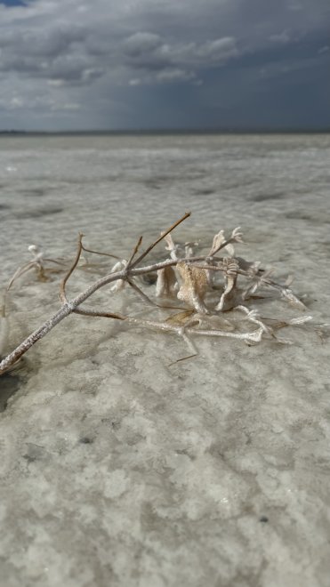 Баскунчак -   (1/5)