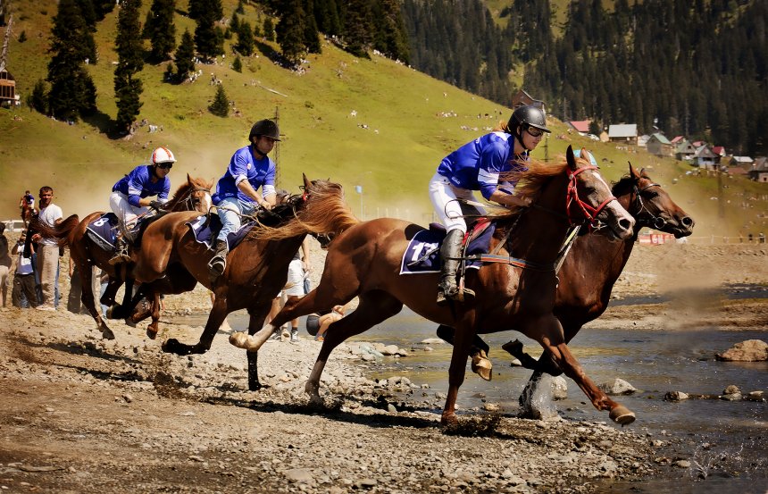 Под топотом копыт... - Alex Parshin