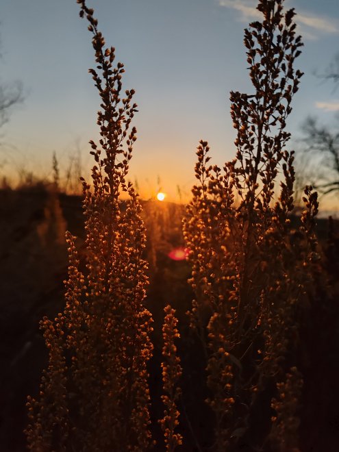 Осенняя пора - Андрей