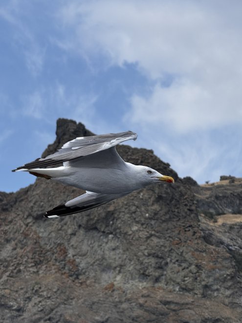 Курс на юг -  